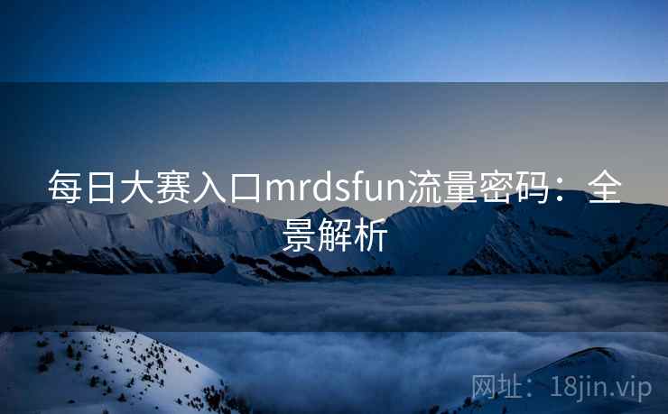 每日大赛入口mrdsfun流量密码：全景解析