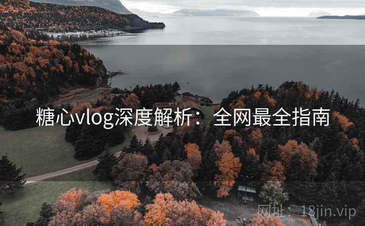 糖心vlog深度解析：全网最全指南  第2张