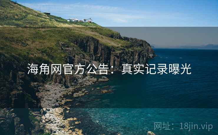 海角网官方公告：真实记录曝光  第2张